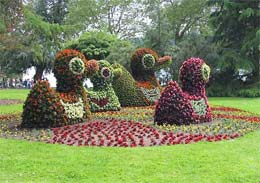 Insel Mainau